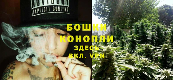 сатива Балахна