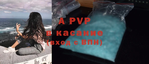 сатива Балахна