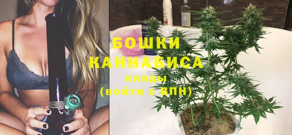 ешки Белокуриха
