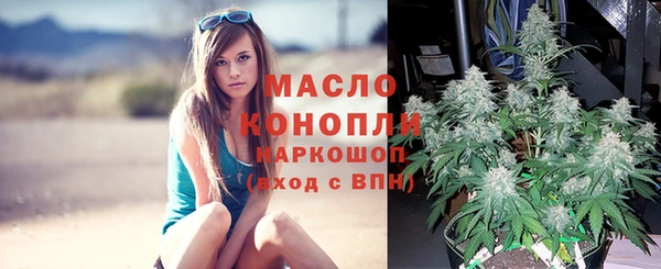 сатива Балахна