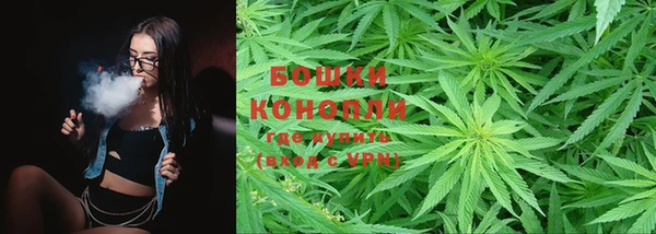 ешки Белокуриха
