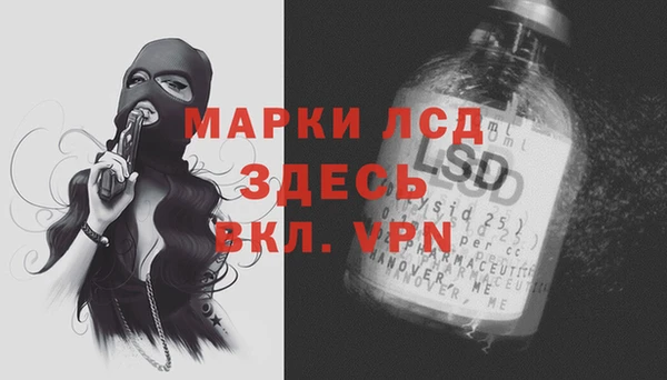 сатива Балахна