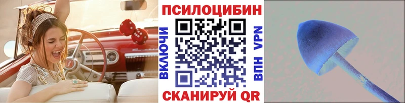 mega tor  Мариинский Посад  Галлюциногенные грибы Psilocybe  что такое наркотик 